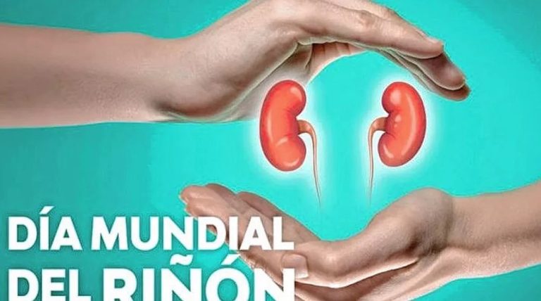 Día Mundial del Riñón: ¿Por qué se celebra y cómo podemos cuidarnos ...