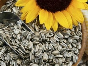 ¿Cuáles son los beneficios y propiedades de las semillas de girasol?