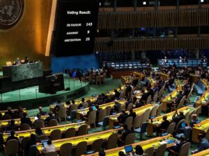 Argentina fue el único país de la ONU que votó en contra de una resolución para eliminar y prevenir la violencia contra las mujeres